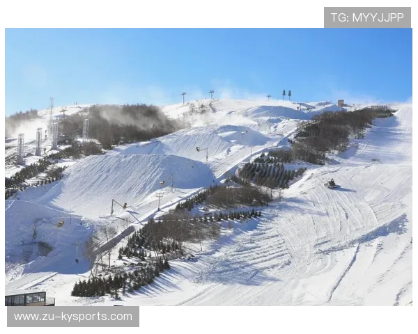 世界高山滑雪赛道生态修复第155期进展通报,世界高山滑雪锦标赛首次举行是在哪一年 世界高山滑雪赛道生态修复第155期进展通报,世界高山滑雪锦标赛首次举行是在哪一年